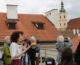 Komentované prohlídky muzea od sklepa po půdu